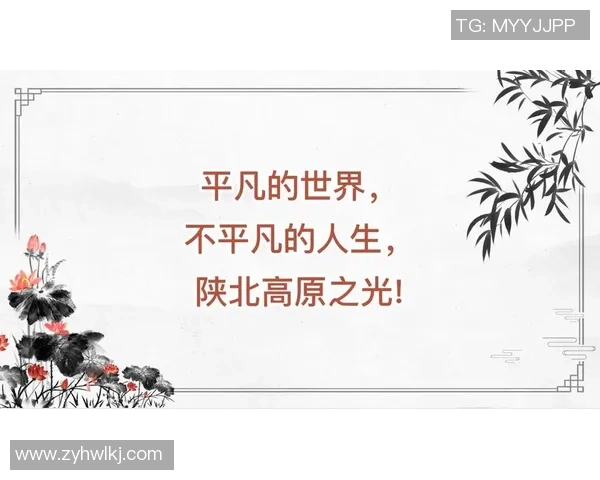 周军的乒乓球人生深度对话探索他的奋斗与成就之路 周军的乒乓球人生深度对话探索他的奋斗与成就之路