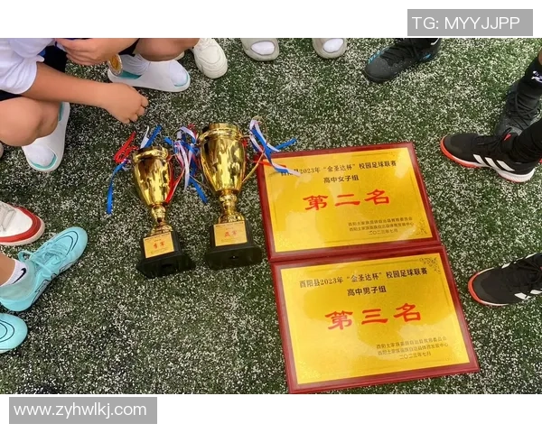 张丽的足球人生:从小球场到职业赛场的深度对话与成长故事 张丽的足球人生:从小球场到职业赛场的深度对话与成长故事